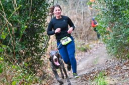 2025 &raquo; Le Populaire